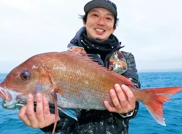 「茨城県日立沖のマダイ」の画像