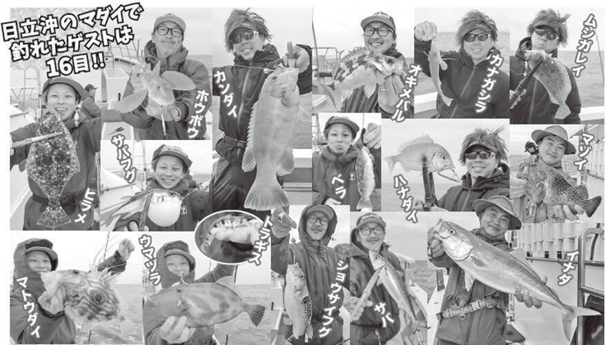 茨城県日立沖のマダイ