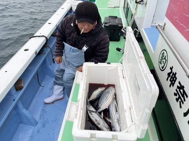 【釣果速報】豊漁でキハダのベルトコンベアーができちゃった！神奈川県大松丸のマグロ船は連日絶好調！
