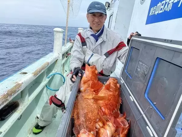 【釣果速報】静岡県久寿丸で良型カサゴが一日中釣れる！今後ますますサイズアップが見込めるもようで期待大！