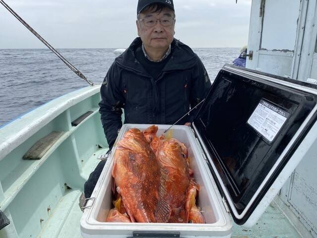 【釣果速報】静岡県久寿丸で良型カサゴが一日中釣れる！今後ますますサイズアップが見込めるもようで期待大！