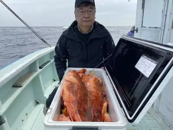 「【釣果速報】静岡県久寿丸で良型カサゴが一日中釣れる！今後ますますサイズアップが見込めるもようで期待大！」の画像