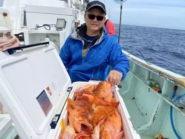 「【釣果速報】静岡県久寿丸で良型カサゴが一日中釣れる！今後ますますサイズアップが見込めるもようで期待大！」の画像