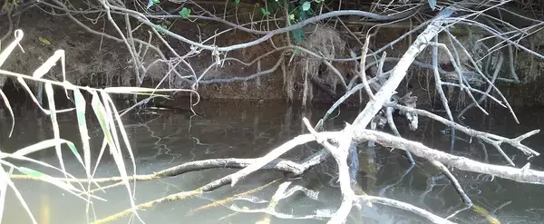 根掛かりの外し方をマスターしたい！自作回収機でルアーを救助する方法