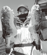 釣り仲間と盛り上がる　富浦沖のトラフグ祭り