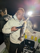【釣果速報】和歌山県SevenSWellでイサギ入れ食い！アジ・ヒラスズキも！好調な今シーズン、自己最高記録を狙ってみませんか？
