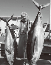 相模湾のキハダ好調　初物32kgをゲット