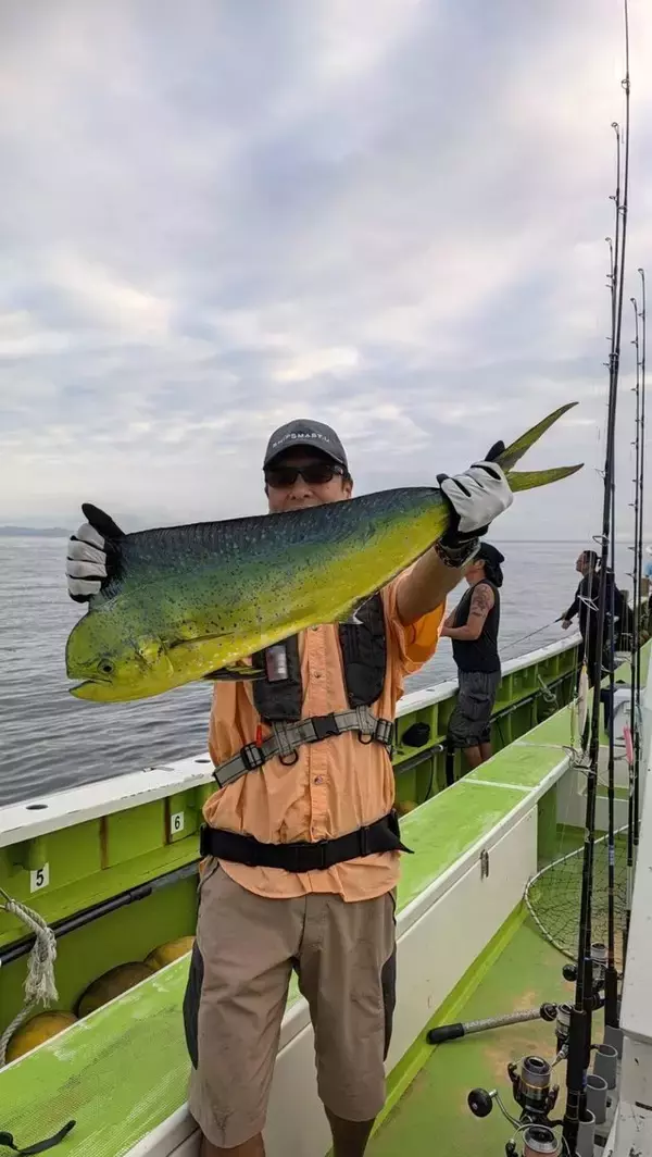 【釣果速報】シイラフィーバーに沸く神奈川県庄治郎丸！本日も93cmを筆頭にバズり中！数も型も異次元です！