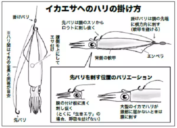 「ブリ～10キロ超えの超大物を目指せ！～」の画像