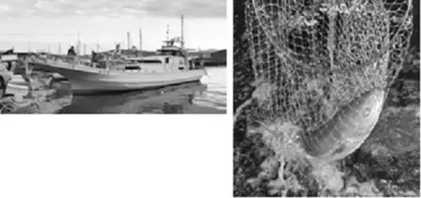 「ブリ～10キロ超えの超大物を目指せ！～」の画像