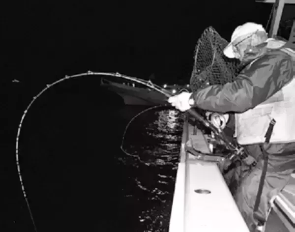 「ブリ～10キロ超えの超大物を目指せ！～」の画像