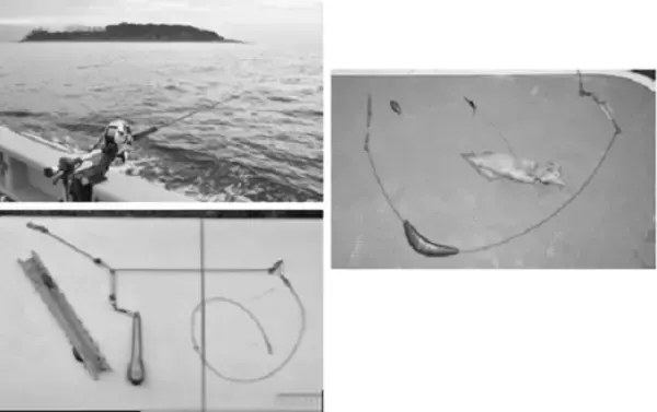 「ブリ～10キロ超えの超大物を目指せ！～」の画像