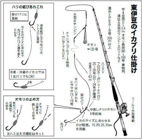 ブリ 10キロ超えの超大物を目指せ 22年1月18日 エキサイトニュース 4 5