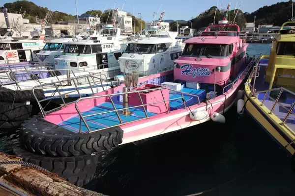 「聖地・高知県沖の島でデカグレハンター・北村憲一がプロトロッドで挑む「口太グレ」」の画像