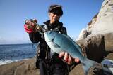 「聖地・高知県沖の島でデカグレハンター・北村憲一がプロトロッドで挑む「口太グレ」」の画像5