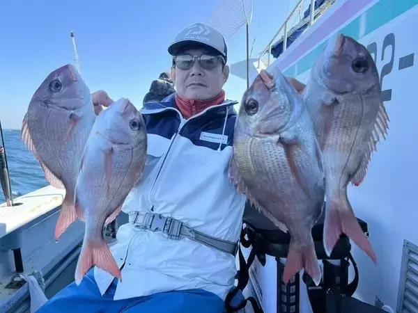 【釣果速報】千葉県梅花丸でマダイ大漁！アタリ爆発でトップは25匹！急いで乗船予約しよう！