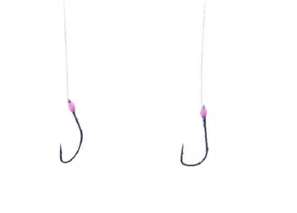 「【目指せ10束！】この仕掛けがすごい！がまかつワカサギ王『スタンダード』＆『喰い渋り』の2種類の使い分け・使いこなし術【山中湖、河口湖】」の画像