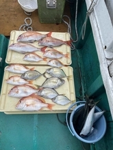 【釣果速報】船上がマダイ・レンコダイで満員状態に！和歌山県いなみ丸の釣行で引き抜群の良型タイをキャッチせよ！