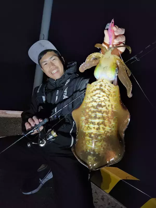 冬もアオリイカは釣れる！！冬エギングの攻略法をエギング大好きヤマシタスタッフ木原がご紹介！！