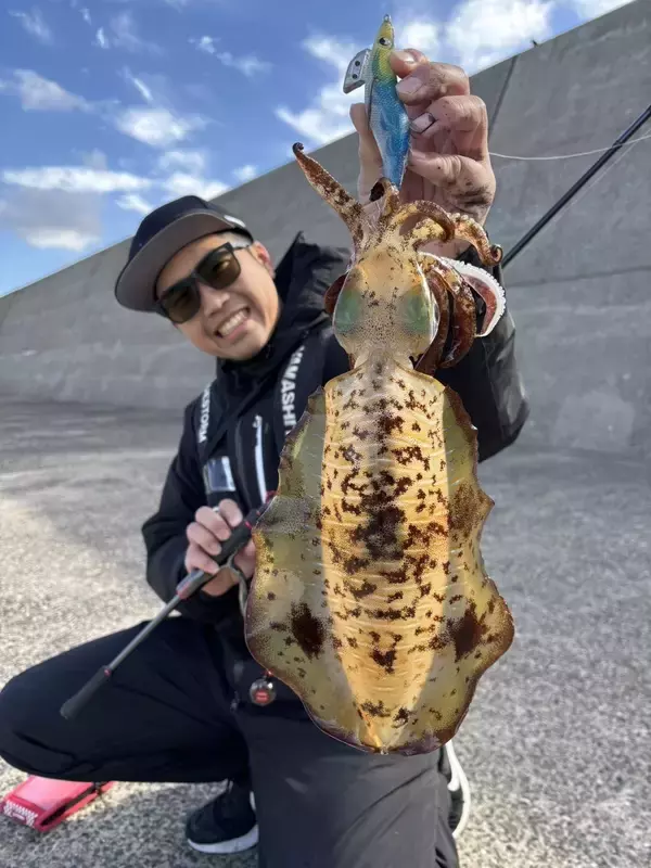 「冬もアオリイカは釣れる！！冬エギングの攻略法をエギング大好きヤマシタスタッフ木原がご紹介！！」の画像