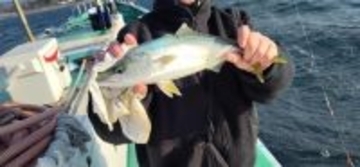 【釣果速報】神奈川県かりゆし丸でイナダ・アジ・ホウボウ・ハナダイと人気魚種続々ゲット！いろいろな魚との出会いを楽しみたい人は即予約を！