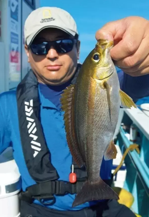 爽快スタート！ 剣崎沖のイサキ