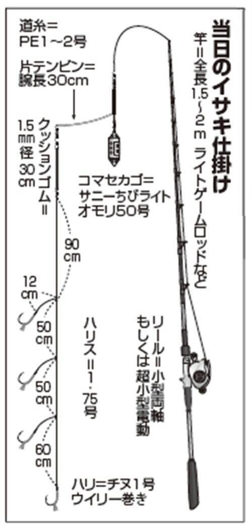 爽快スタート！ 剣崎沖のイサキ