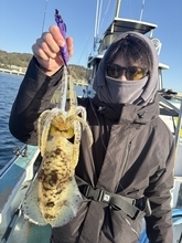 【釣果速報】神奈川県藤八丸で1.00kgのアオリイカゲット！実績“お墨付き”の船で高級イカをゲットしよう！