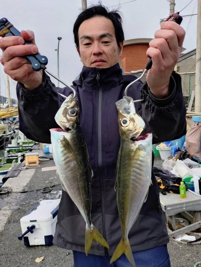 【釣果速報】アジTOP39匹GET！神奈川県愛正丸のアジはサイズ・数ともに期待大！