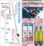 「定数達成当たり前！？外房大原のイサキ好シーズン」の画像3