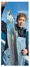 良型交じりで好調キープ！東京湾のテンビンタチウオ