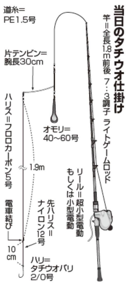 良型交じりで好調キープ！東京湾のテンビンタチウオ