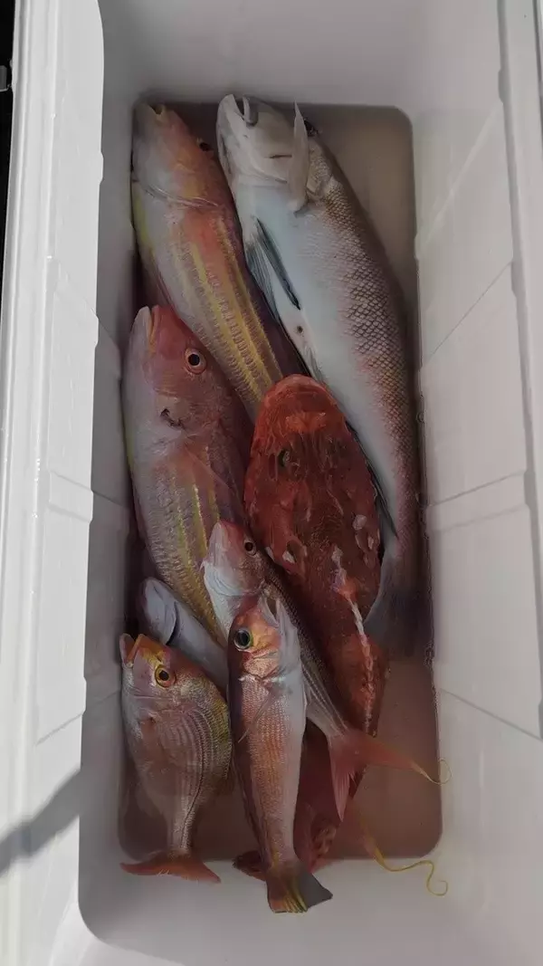 【釣果速報】千葉県フィッシュオン大勝でアカアマダイ&シロアマダイ確保！高級感溢れる釣行に今年こそ挑戦しよう！