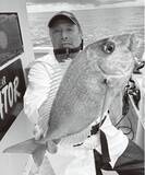 「タナ取りと誘いが肝心　南伊豆のマダイ狙い目」の画像1