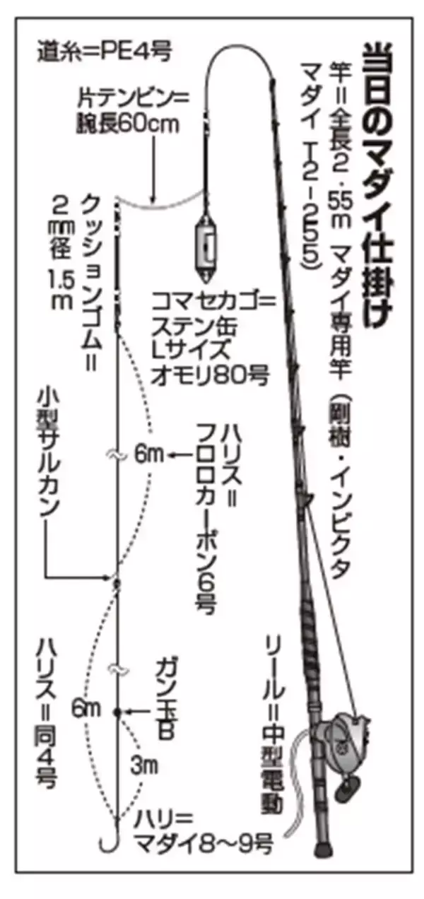 「タナ取りと誘いが肝心　南伊豆のマダイ狙い目」の画像