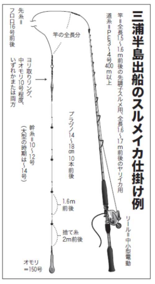 沖イカシーンの大復活だ！洲ノ崎沖でニセマイカ活発