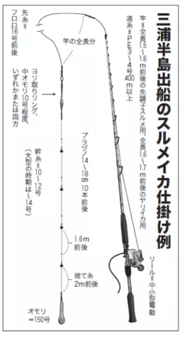 「沖イカシーンの大復活だ！洲ノ崎沖でニセマイカ活発」の画像