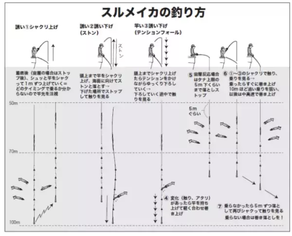「沖イカシーンの大復活だ！洲ノ崎沖でニセマイカ活発」の画像