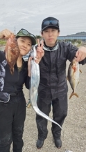 【釣果速報】千葉県フィッシュオン大勝で人気魚種続々！アジ・ショゴ・イナダ・キジハタ・タチウオと豪華な釣果に！好反応の今こそ出撃のタイミング！