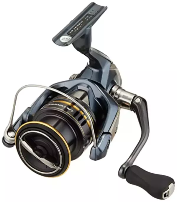 「サヨリの釣り方や食べ方を知りたい！銀色の細長い魚はどんな習性なの？」の画像