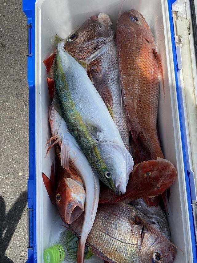 【釣果速報】茨城県大春丸で4.10kgマダイを筆頭にマダイが釣れまくり！船釣りデビュー戦を大物ゲットで飾りませんか？