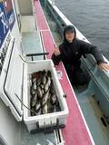 「【釣果速報】35cmのデカイサキをキャッチ！神奈川県正海丸の船長が厳選したポイントで人生最大のイサキを捕まえよう！」の画像3