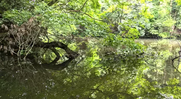 「釣り場にラインを捨てる行為が絶えないのはナゼ？ゴミ問題の解消法」の画像
