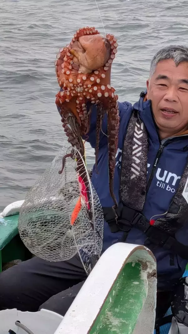 「【釣果速報】千葉県フィッシュオン大勝でキロ級マダコのラッシュ到来！空前絶後のマダコウェーブに乗っかるなら今！」の画像