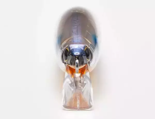 「サイレントアサシン120Fのインプレ特集！飛びと泳ぎを両立したミノー」の画像