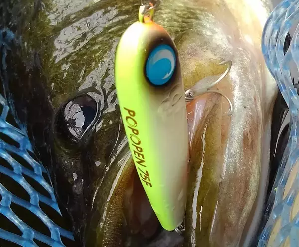 「シーバスや青物に効くポポペン75Fをバス釣りで使ってみた！【ジャンプライズ】」の画像