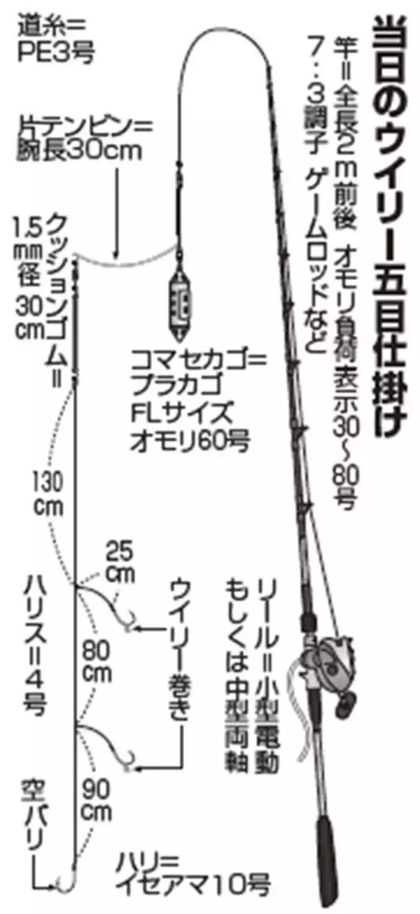 「秋はイナダ＋多彩な魚種　腰越沖のウイリー五目盛況」の画像