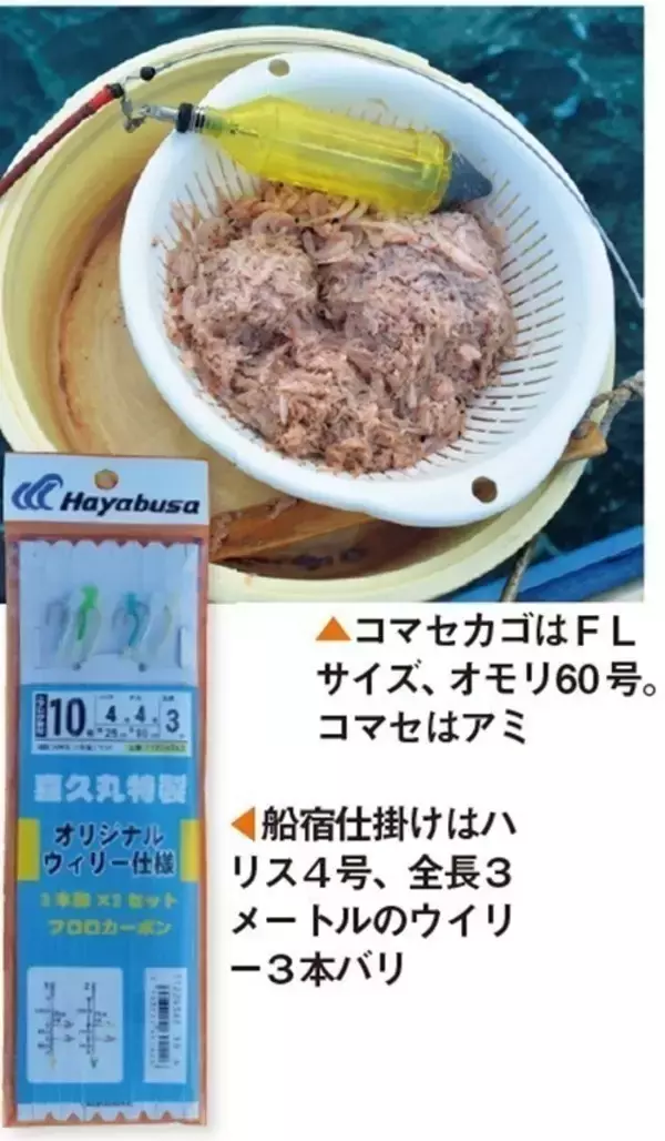 「秋はイナダ＋多彩な魚種　腰越沖のウイリー五目盛況」の画像