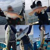 「【釣果速報】和歌山県heyheyshipで83cmの巨大ブリ釣れる！まるまる太ったメジロもキャッチ！順調にサイズアップしている青物をキャッチしに行こう！」の画像1