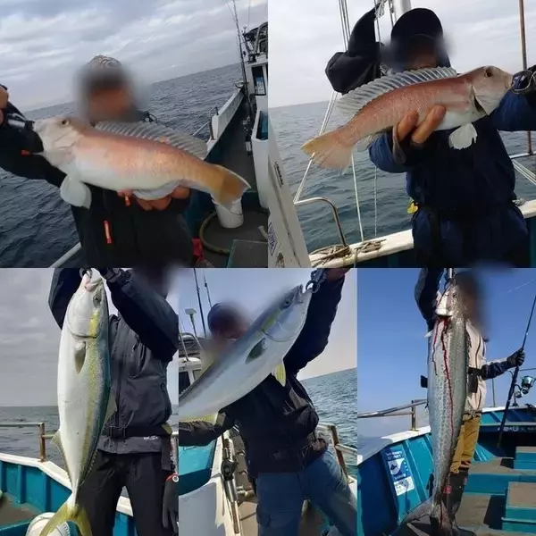 【釣果速報】和歌山県heyheyshipで83cmの巨大ブリ釣れる！まるまる太ったメジロもキャッチ！順調にサイズアップしている青物をキャッチしに行こう！